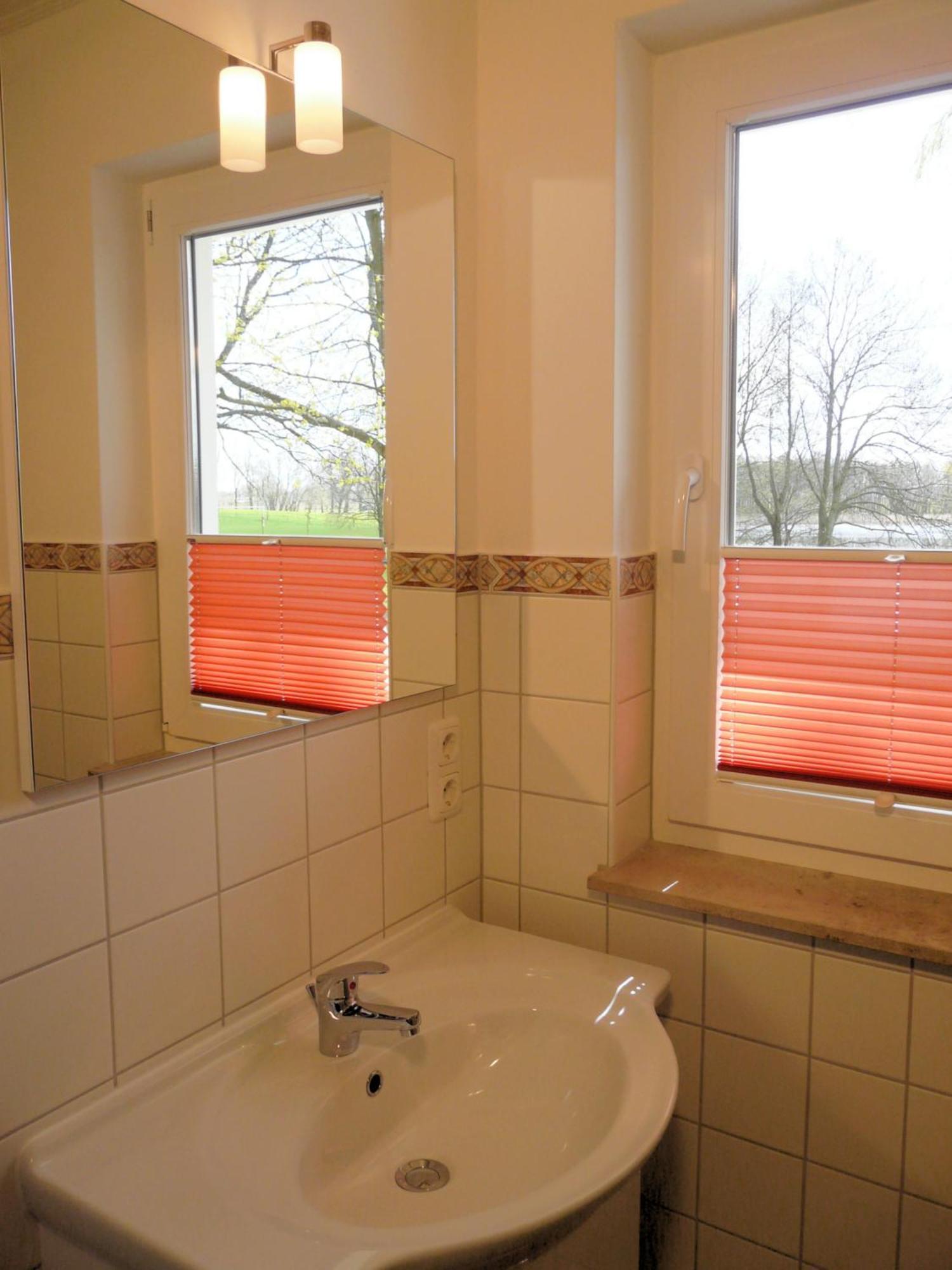 Ferienhaeuser Seewiesen Holiday home Reimershagen